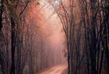 虎扑app-意甲｜国際(jì)米蘭(lán)5:0大胜都灵