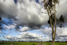 虎扑下载-圣安东尼奥马刺：从球场到市政厅的双重挑战