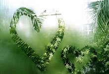 hupu虎扑-迪马济奥：林德斯特伦有望重返德甲，沃尔夫斯堡想租借+选择买断